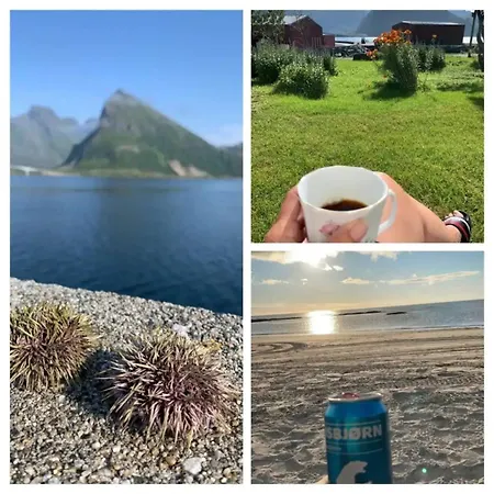 House, Lofoten Fredvang