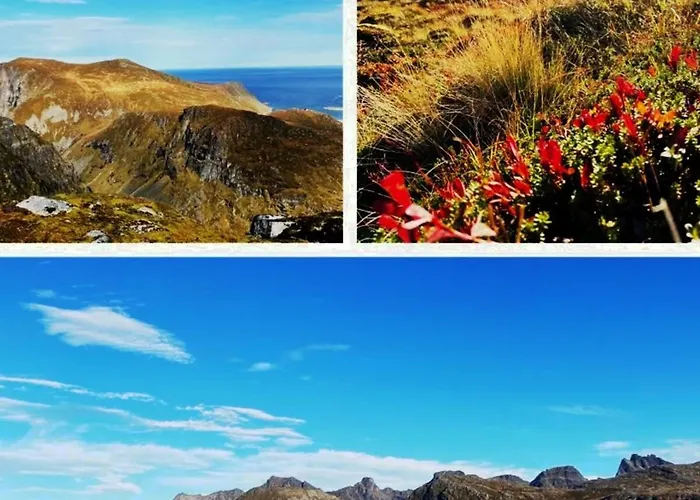度假居 House, Lofoten