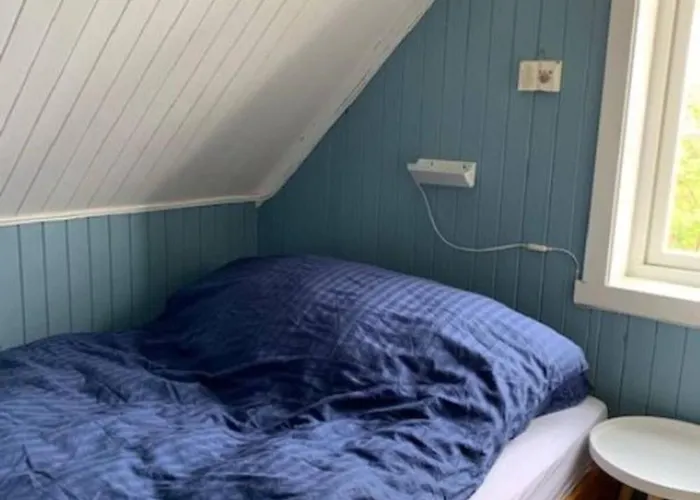House, Lofoten 度假居 Fredvang