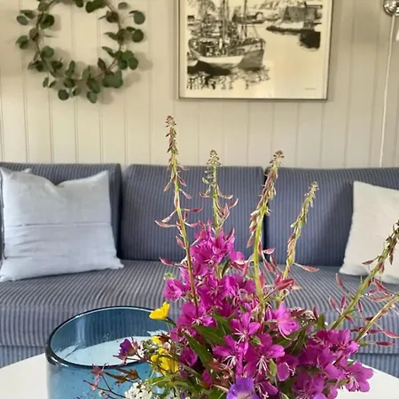 House, Lofoten